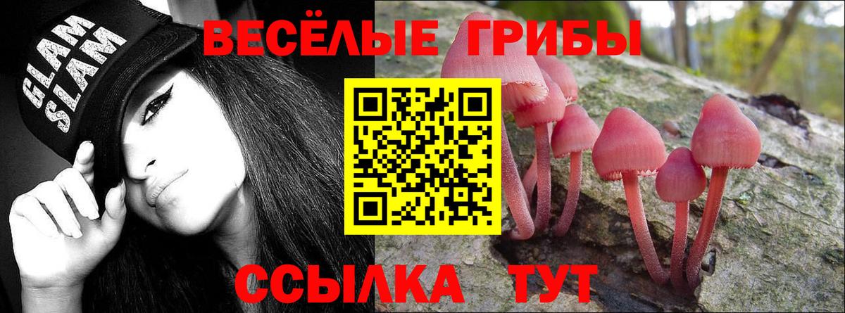Галлюциногенные грибы прущие грибы Астрахань