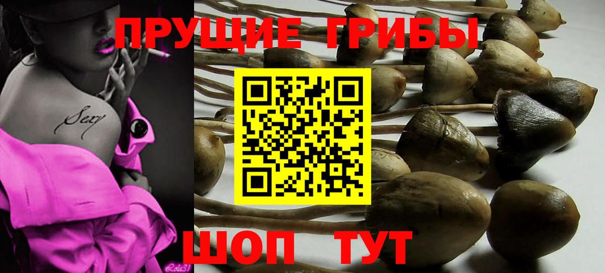 Псилоцибиновые грибы Psilocybe  Вход с VPN  Астрахань  Галлюциногенные грибы мухоморы 